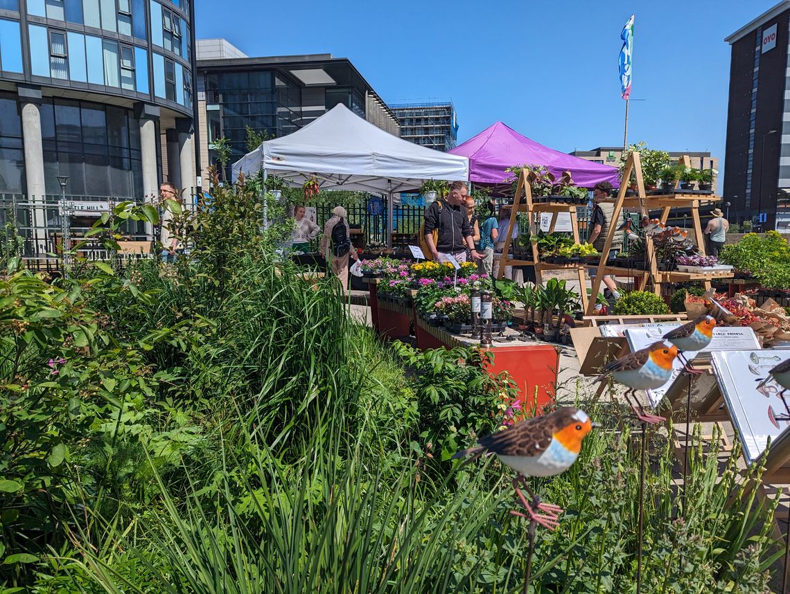 Gala Shade Gazebos with White and Purple canopies at a flower market