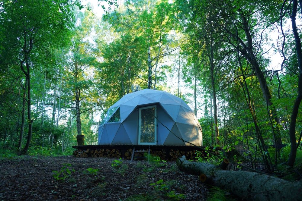 A geodesic dome in a forest