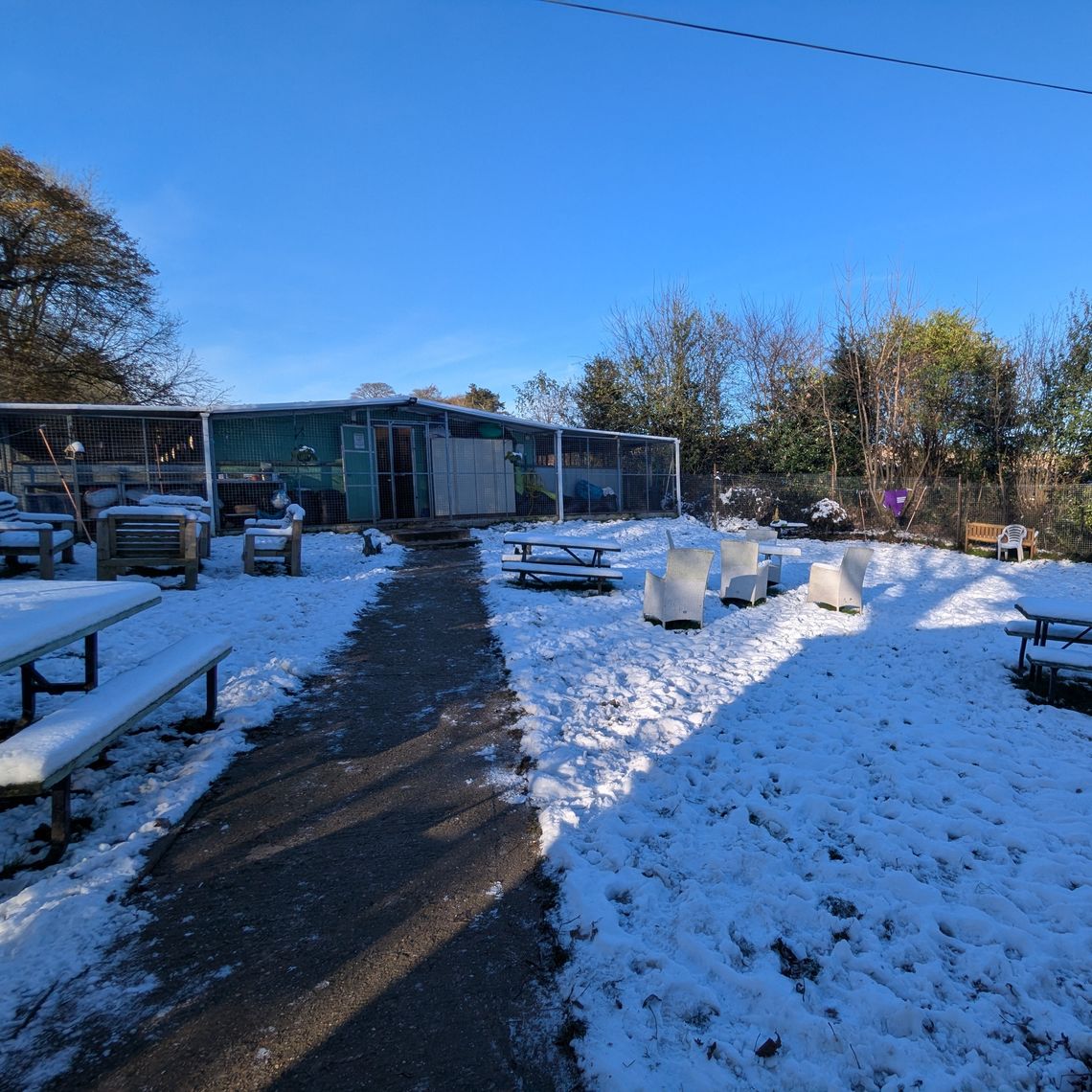 A dog kennel building in a snowy grounds