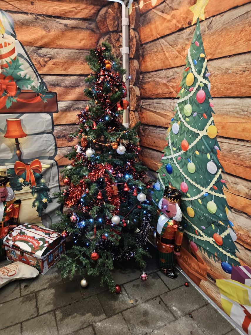 Christmas Tree inside a grotto